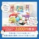 わくわく！夏のことり福袋2026★シマエナガ★小鳥グッズ 小鳥雑貨 雑貨 福袋 ハッピーバッグ ハッピーパック 夏の福袋 プレゼント ギフト 限定品 福袋 2026年 夏季