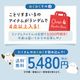 わくわく！夏のことり福袋2026★シマエナガ★小鳥グッズ 小鳥雑貨 雑貨 福袋 ハッピーバッグ ハッピーパック 夏の福袋 プレゼント ギフト 限定品 福袋 2026年 夏季