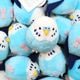 《数量限定セット》 セキセイインコ ブルー ぬいぐるみ 限定ミニ巾着付き　【ことりすまいる】