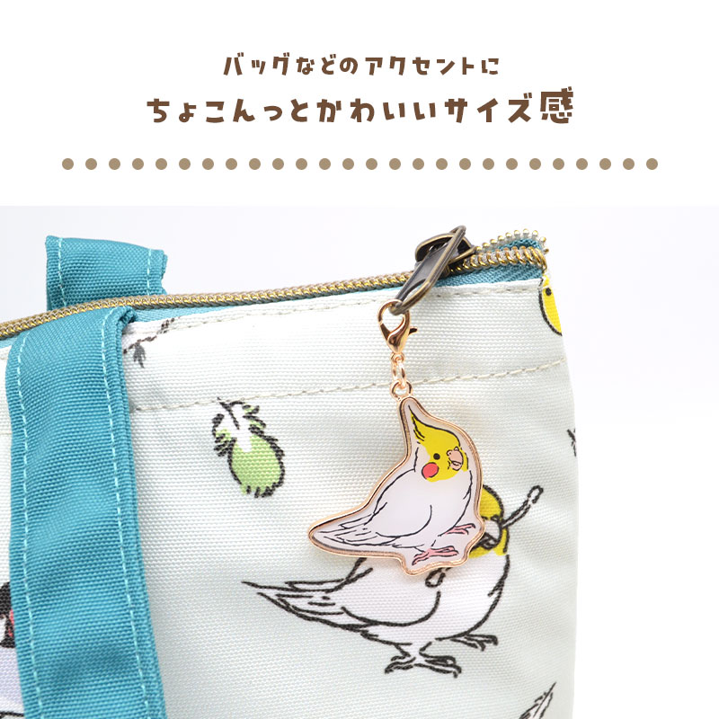 �ڤ��Ȥꤹ�ޤ���� �����Τ������ۥ���� ���ϥ������������Ρ� ���� �����ᥤ�� �����ۥ���� ���㡼��