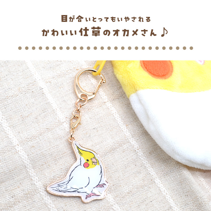 �ڤ��Ȥꤹ�ޤ���� �����Τ������ۥ���� ���ϥ������������Ρ� ���� �����ᥤ�� �����ۥ���� ���㡼��