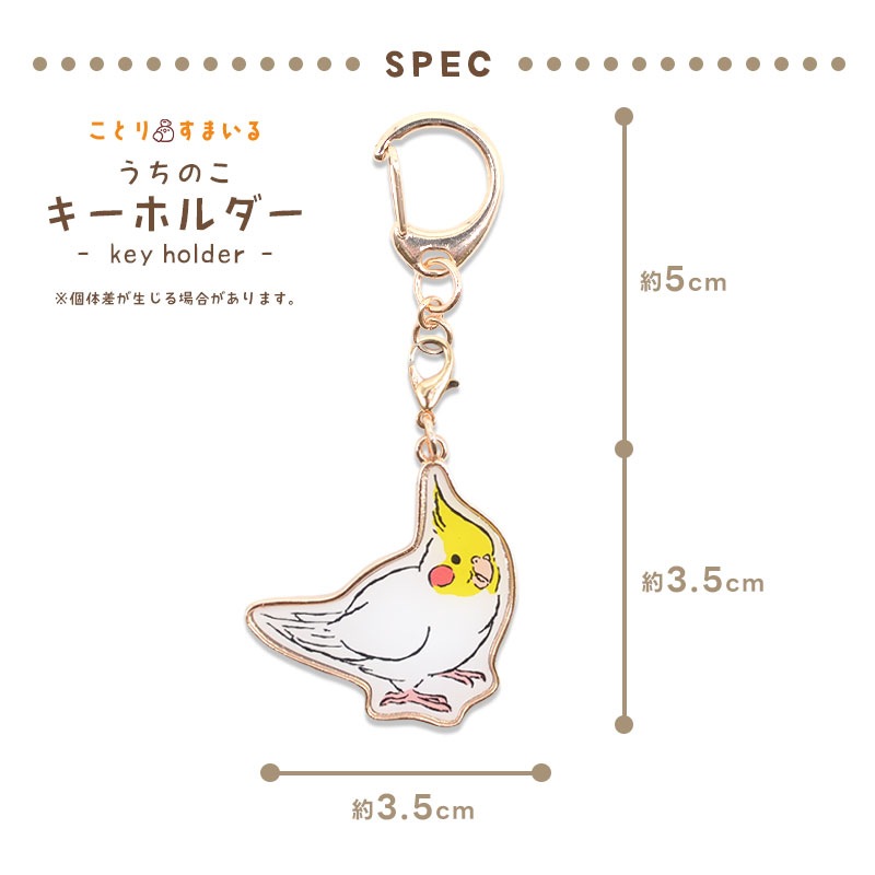 �ڤ��Ȥꤹ�ޤ���� �����Τ������ۥ���� ���ϥ������������Ρ� ���� �����ᥤ�� �����ۥ���� ���㡼��