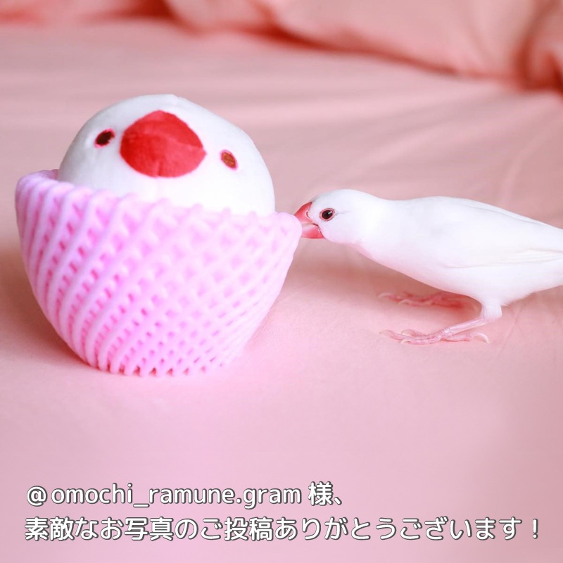 �ڤʤ��ߥ��꡼���ۤ��Ȥ�μ¡�����ʸĻ������ʸĻ���֥���祦