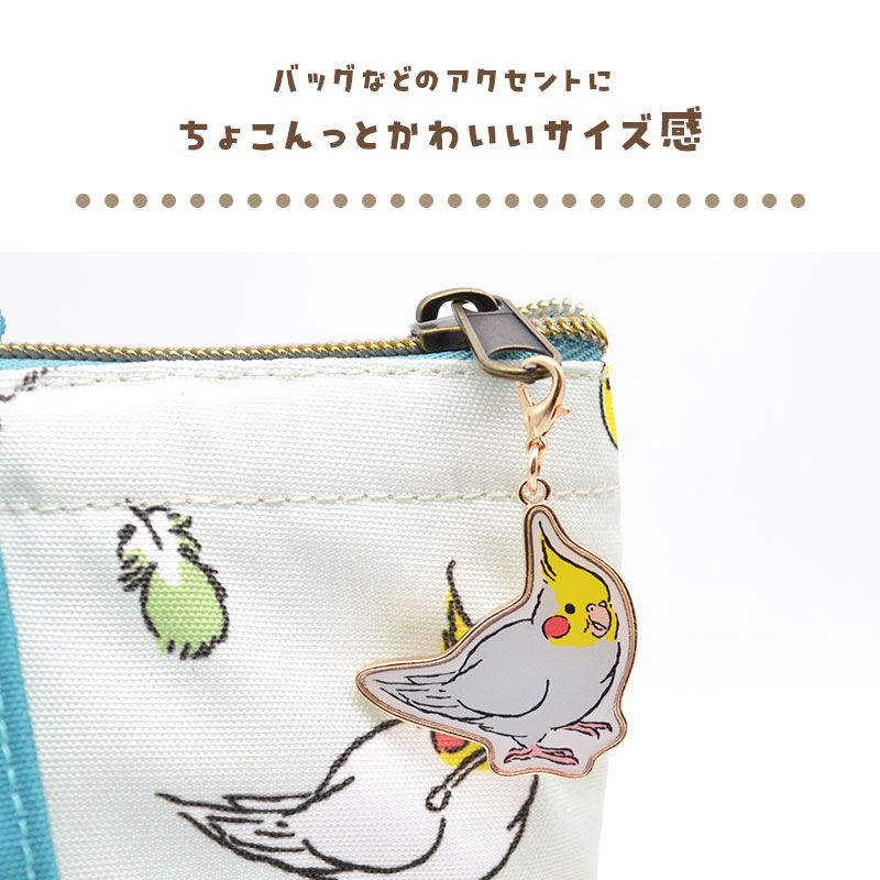 ڤȤꤹޤ Τۥ ϥΡޥ  ᥤ ۥ 㡼