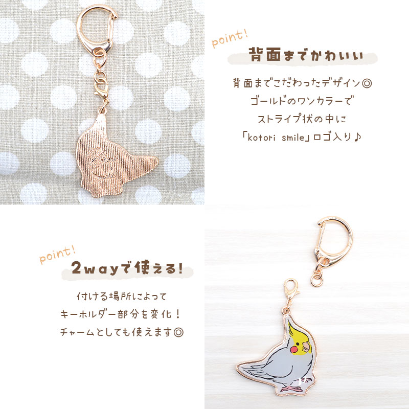 ڤȤꤹޤ Τۥ ϥΡޥ  ᥤ ۥ 㡼