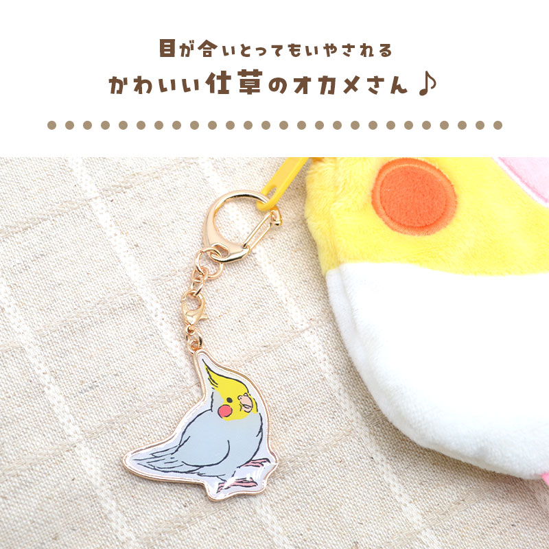 ڤȤꤹޤ Τۥ ϥΡޥ  ᥤ ۥ 㡼