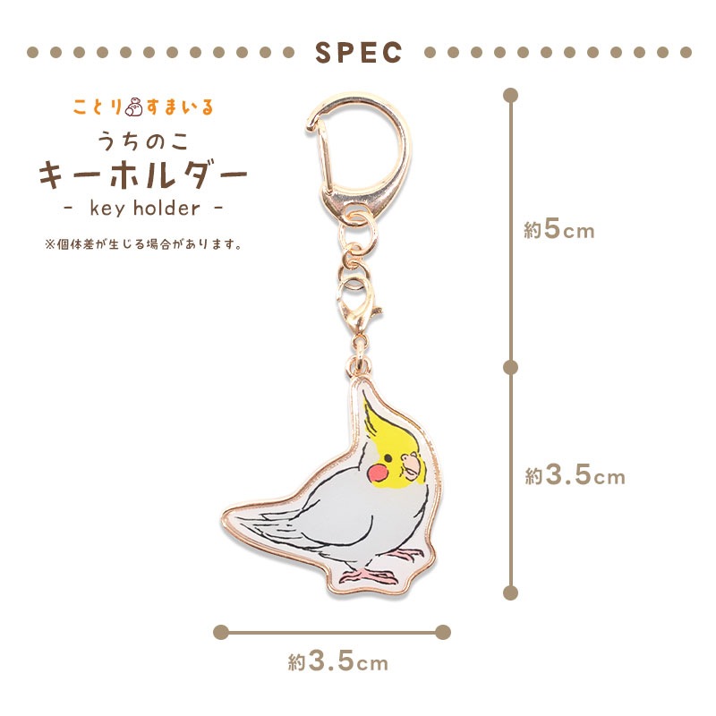 ڤȤꤹޤ Τۥ ϥΡޥ  ᥤ ۥ 㡼