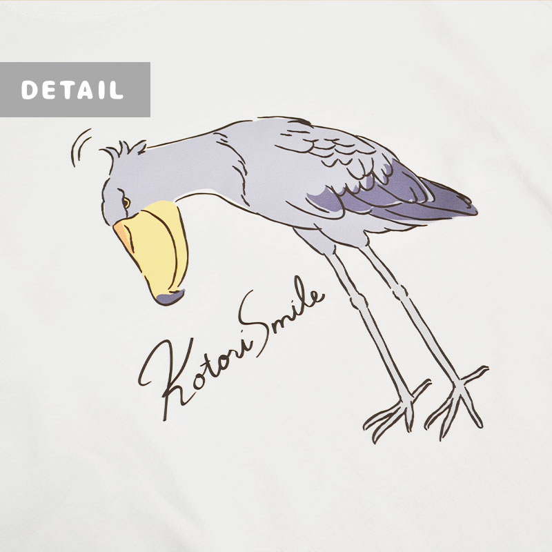 ڤȤꤹޤ θT (L)ϥӥ   ץT T Ⱦµ