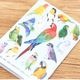 お薬手帳 とりアート ★VIVIDBIRDS ◆ゆうパケット対応◆ インコ 文鳥【とりアート】