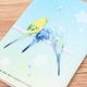 血圧手帳 とりアート ★にじいろいんこ ◆ゆうパケット対応◆ セキセイインコ【とりアート】