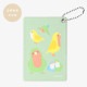 パスケース ★simple ◆ゆうパケット対応◆ 【BIRDSTORY】
