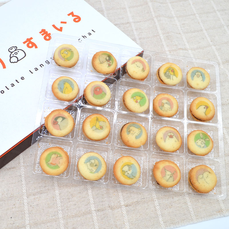 �ڤ��Ȥꤹ�ޤ���� ���祳��󥰥ɥ��� �������Τ� ���� ��󥰥ɥ��� ���å��� �Ʋۻ�