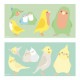 マグカップ simple ◆◆ 【BIRDSTORY】