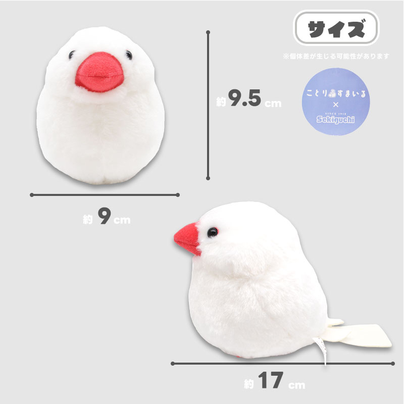 �ڤ��Ȥꤹ�ޤ���� ��ʸĻ �̤������ 1�� ��ñ������� ����