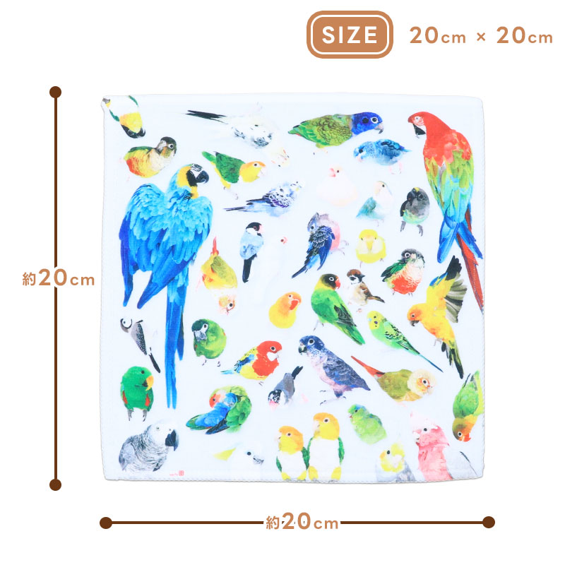 ミニハンドタオル VIVID BIRDS ◆ゆうパケット対応◆ インコ オウム 文鳥 【ぴよ手帖】