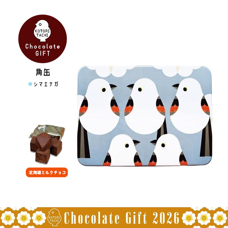 �Ѵ� �����ޥ��ʥ� ���� �Х�󥿥��� ���祳 �� ���å� ���ե� ��KOTORITACHI��