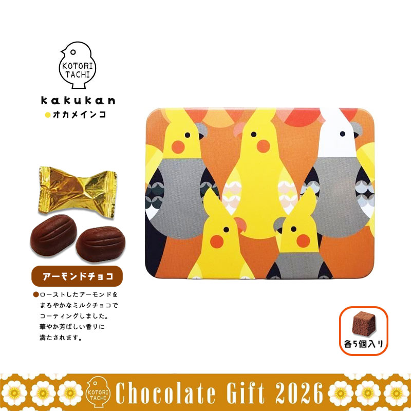 �Ѵ� �������ᥤ�� ���� �Х�󥿥��� ���祳 �� ���å� ���ե� ��KOTORITACHI��