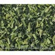 国産　★大根葉チップ　10g　《小鳥用》　◆◆ 【黒瀬ペットフード】