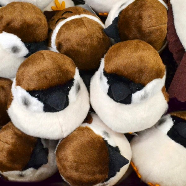 ��kotori smile�� ������̤�����ߡ�1������ñ������ա����������ᡡ�������Ȥꥹ�ޥ��� ������ �̤������