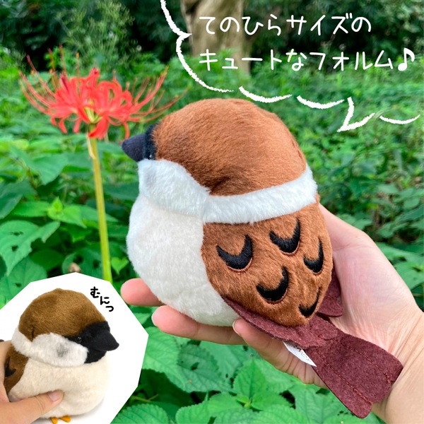 ��kotori smile�� ������̤�����ߡ�1������ñ������ա����������ᡡ�������Ȥꥹ�ޥ��� ������ �̤������