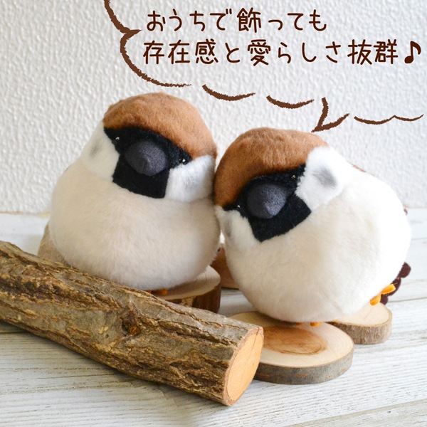 ��kotori smile�� ������̤�����ߡ�1������ñ������ա����������ᡡ�������Ȥꥹ�ޥ��� ������ �̤������