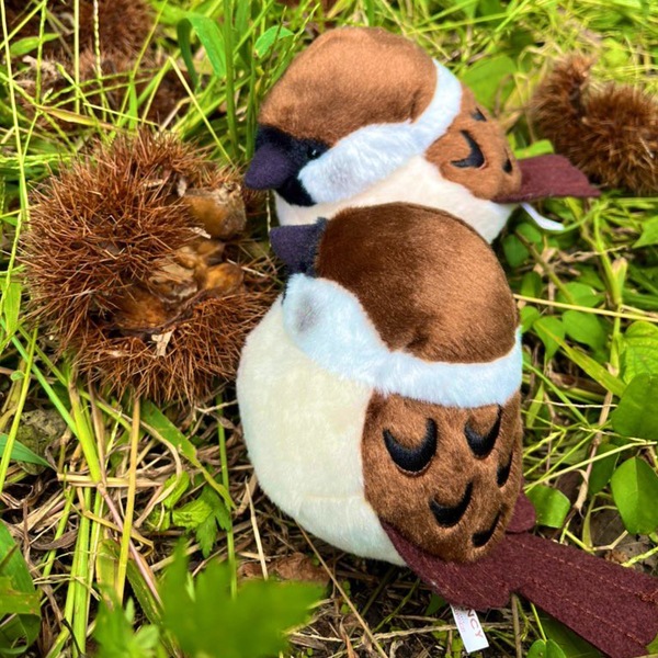 ��kotori smile�� ������̤�����ߡ�1������ñ������ա����������ᡡ�������Ȥꥹ�ޥ��� ������ �̤������