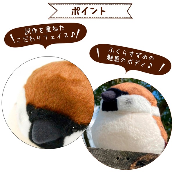 ��kotori smile�� ������̤�����ߡ�1������ñ������ա����������ᡡ�������Ȥꥹ�ޥ��� ������ �̤������