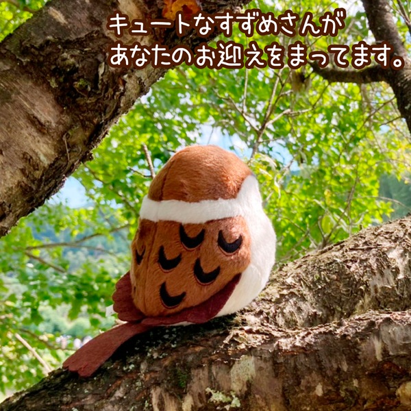 ��kotori smile�� ������̤�����ߡ�1������ñ������ա����������ᡡ�������Ȥꥹ�ޥ��� ������ �̤������