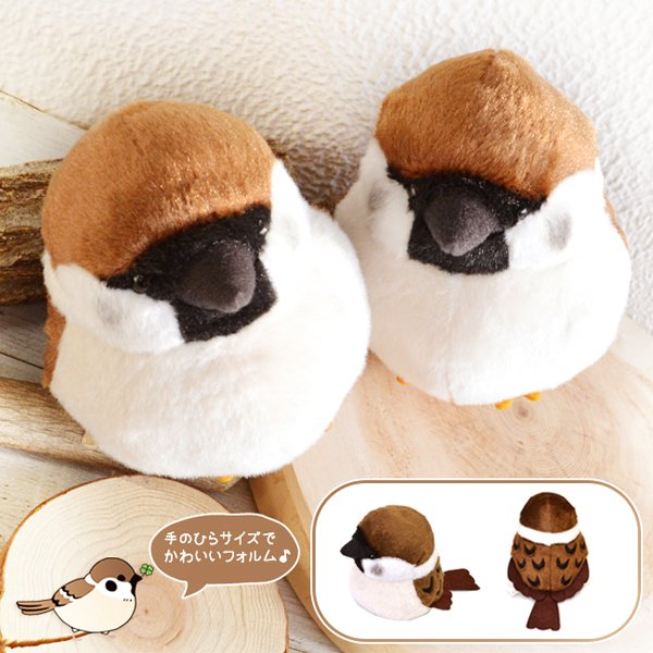 ��kotori smile�� ������̤�����ߡ�1������ñ������ա����������ᡡ�������Ȥꥹ�ޥ��� ������ �̤������