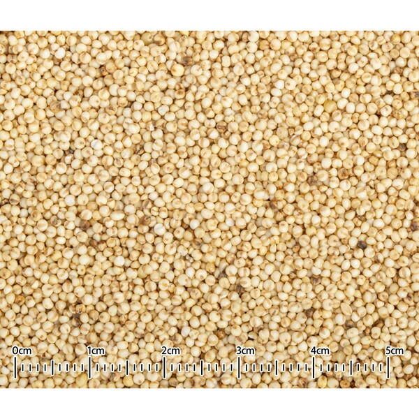 国産　★あわ玉　40g 《小鳥用》　◆◆ 【黒瀬ペットフード】