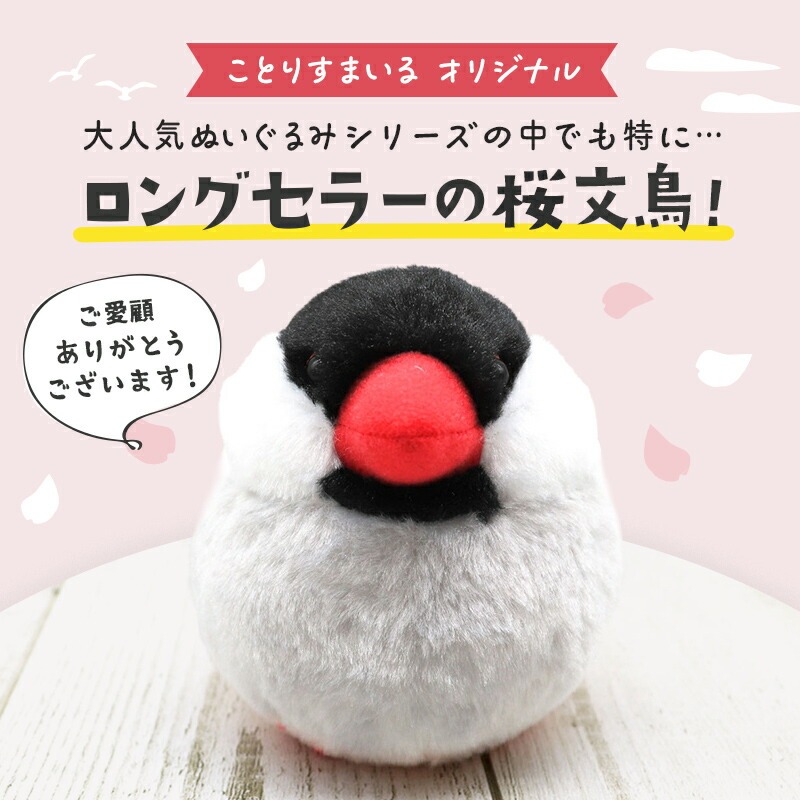 花ことり　ぬいぐるみマスコット 花ことり ぬいぐるみマスコット 3種 鳥ぬいぐるみ インコ図鑑