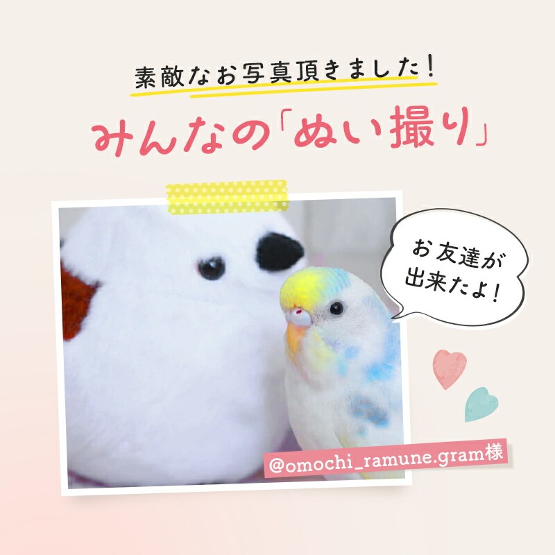 �Կ��̸��ꥻ�åȡա�kotori smile�� ���ޥ��ʥ� �̤�����ߡ�����ߥ˶����դ�������