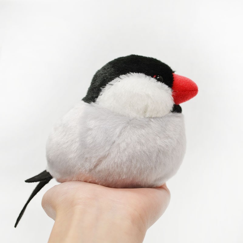 �Կ��̸��ꥻ�åȡաڤ��Ȥꤹ�ޤ���� ��ʸĻ �̤�����ߡ�����ߥ˶����դ� ����