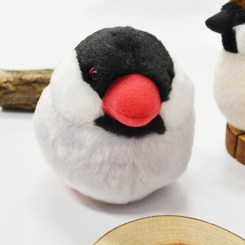 �Կ��̸��ꥻ�åȡաڤ��Ȥꤹ�ޤ���� ��ʸĻ �̤�����ߡ�����ߥ˶����դ� ����