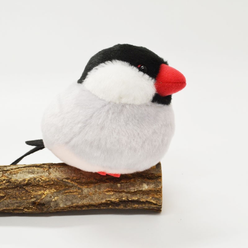 �Կ��̸��ꥻ�åȡաڤ��Ȥꤹ�ޤ���� ��ʸĻ �̤�����ߡ�����ߥ˶����դ� ����