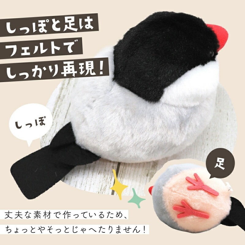 �Կ��̸��ꥻ�åȡաڤ��Ȥꤹ�ޤ���� ��ʸĻ �̤�����ߡ�����ߥ˶����դ� ����