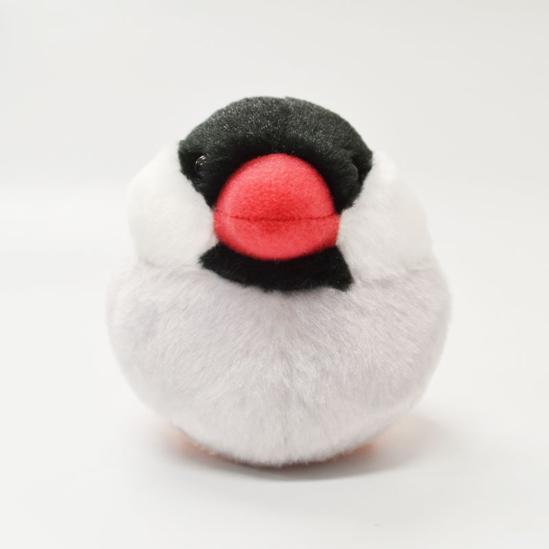 �Կ��̸��ꥻ�åȡաڤ��Ȥꤹ�ޤ���� ��ʸĻ �̤�����ߡ�����ߥ˶����դ� ����