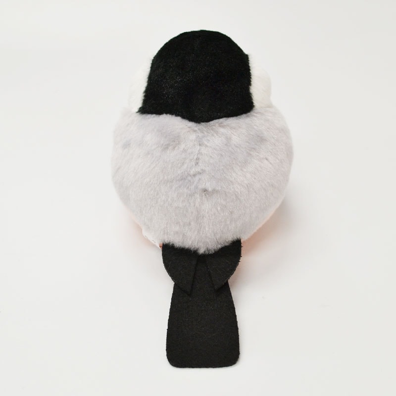 �Կ��̸��ꥻ�åȡաڤ��Ȥꤹ�ޤ���� ��ʸĻ �̤�����ߡ�����ߥ˶����դ� ����