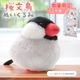 《数量限定セット》【ことりすまいる】 桜文鳥 ぬいぐるみ　限定ミニ巾着付き ◆◆