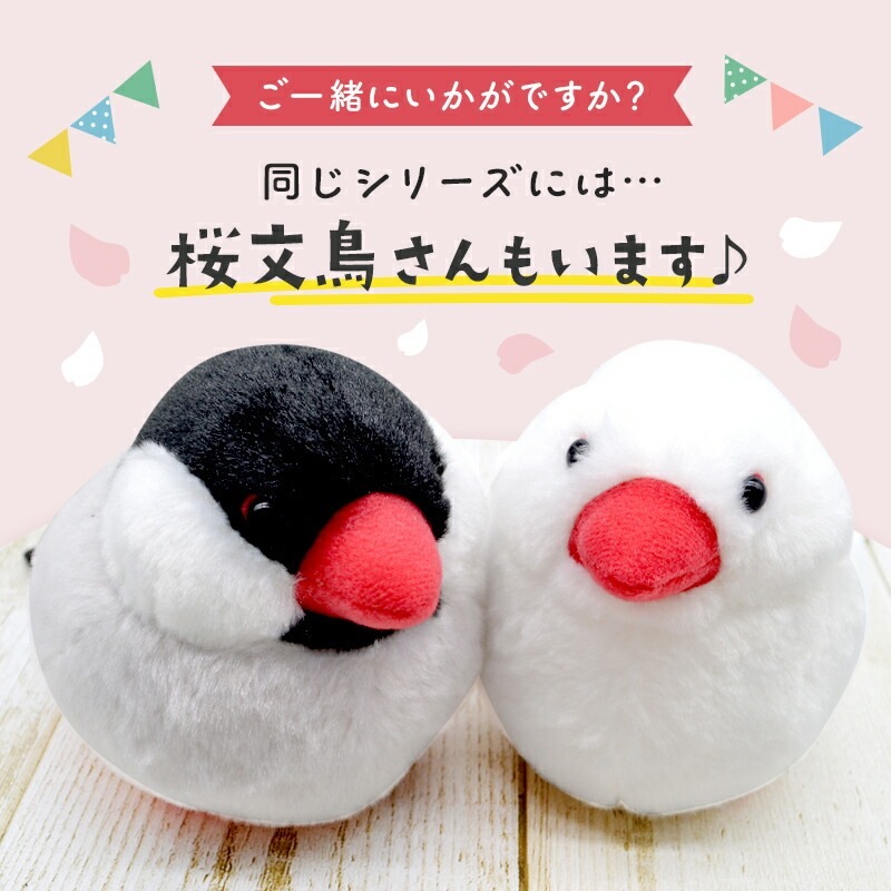 《数量限定セット》【ことりすまいる】 白文鳥 ぬいぐるみ　限定ミニ巾着付き  ◆◆