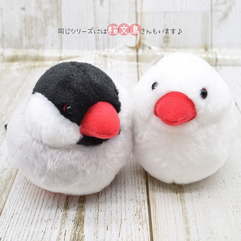 �Կ��̸��ꥻ�åȡաڤ��Ȥꤹ�ޤ���� ��ʸĻ �̤�����ߡ�����ߥ˶����դ�  ����