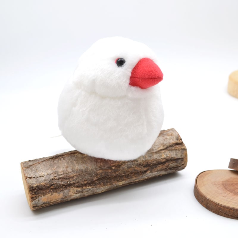 �Կ��̸��ꥻ�åȡաڤ��Ȥꤹ�ޤ���� ��ʸĻ �̤�����ߡ�����ߥ˶����դ�  ����