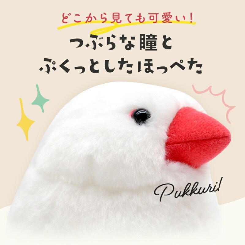 《数量限定セット》【ことりすまいる】 白文鳥 ぬいぐるみ　限定ミニ巾着付き  ◆◆