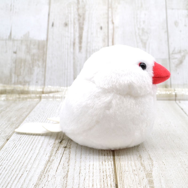 �Կ��̸��ꥻ�åȡաڤ��Ȥꤹ�ޤ���� ��ʸĻ �̤�����ߡ�����ߥ˶����դ�  ����