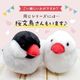 《数量限定セット》【ことりすまいる】 白文鳥 ぬいぐるみ　限定ミニ巾着付き  ◆◆