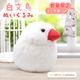 《数量限定セット》【ことりすまいる】 白文鳥 ぬいぐるみ　限定ミニ巾着付き  ◆◆