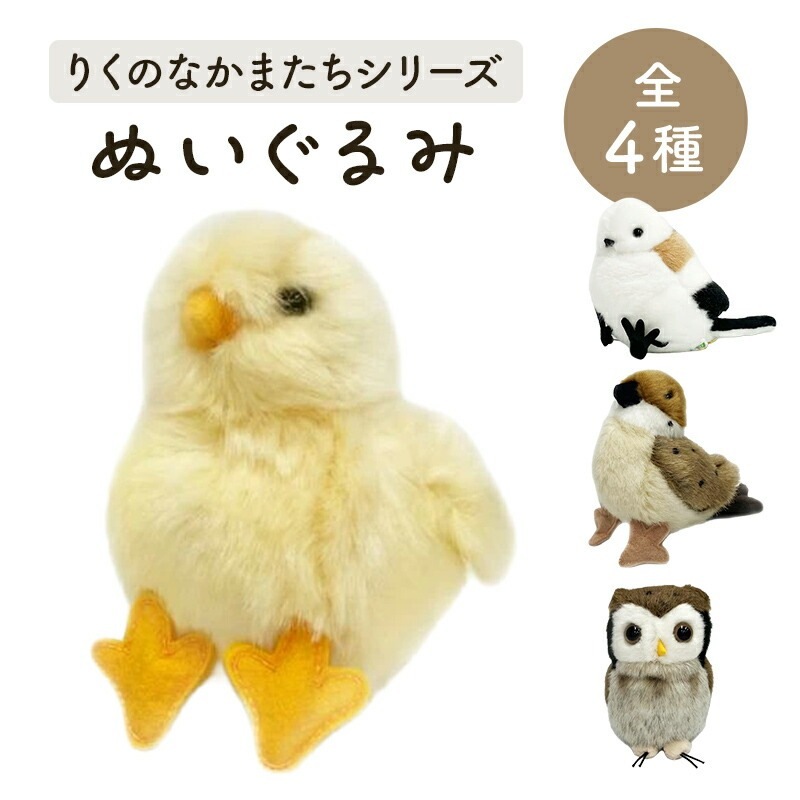�̤������ ���� ����4�� �ҥ襳 �Ҥ褳 ���ޥ��ʥ� ������ ���Υϥ��� �����ڤ��Ȥ�Τ͡�