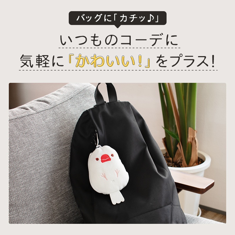 Կ̸ꥻåȡաkotori smile  ꡼դѥݡ  ʸĻߥ˶դ 