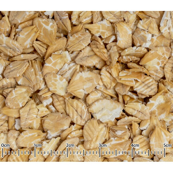 自然派宣言　★大麦フレーク　100g　《小鳥用》 ペットフード 餌 エサ 穀物 シード 中型インコ オカメインコ コザクラインコ アマニシード 副食 おやつ 小鳥 ボタンインコ マメルリハ サザナミインコ【黒瀬ペットフード】