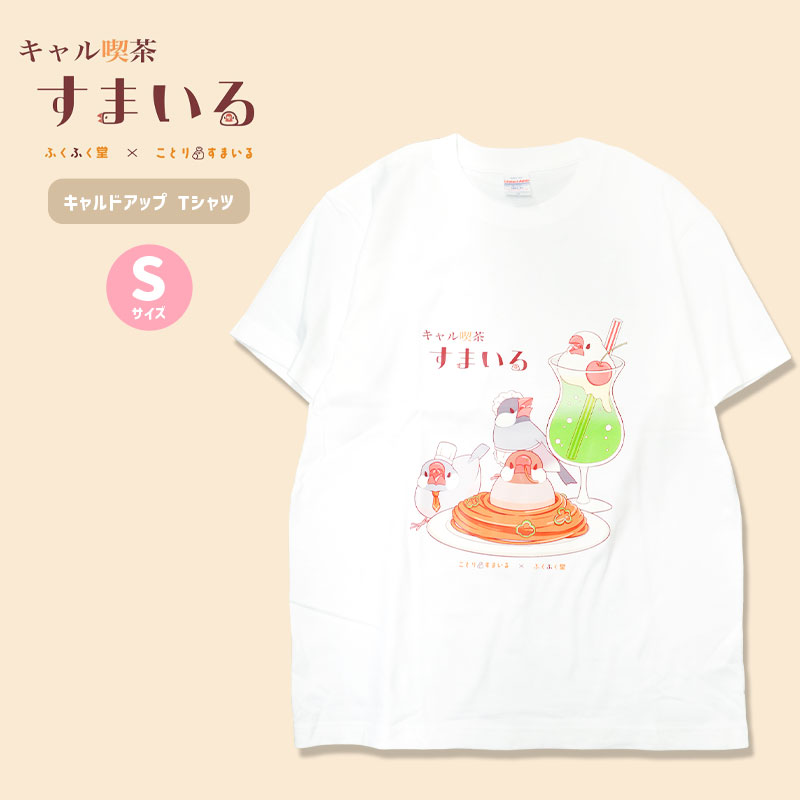 ڤȤꤹޤߤդդƲ 㤹ޤT T (ۥ磻)S    դդƲ 󥳥  T Ⱦµ